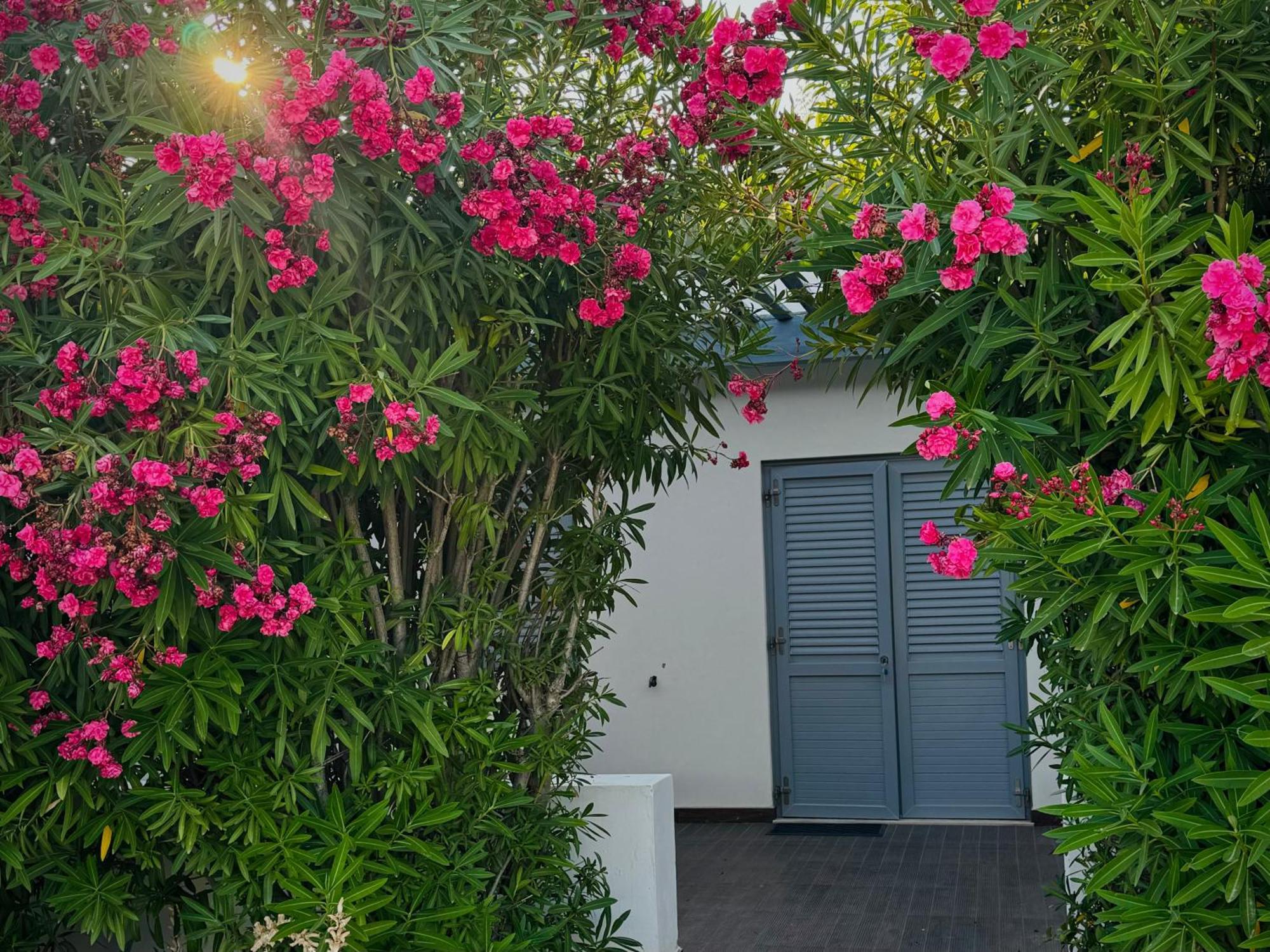 Baia Sangiorgio Hotel & Beach Club Bari Bagian luar foto